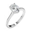 whitegold,platinum