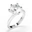 whitegold,platinum