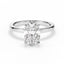 whitegold,platinum